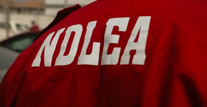 Tinubu Hails NDLEA Over $360m Drug Bust, Dismantling Of Nigerian-Mexican Cartel